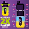 Key Features Of Pixl DUO 12