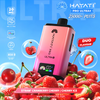 Box Of 5 - Hayati 25K Puff Pro Ultra Prefilled Kit